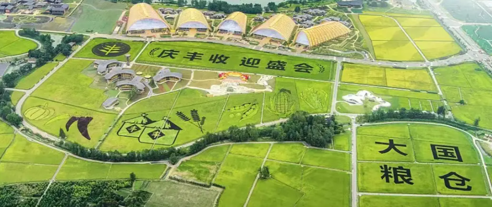 第五个中国农民丰收节|KAIYUN.COM·开云「中国」官方网站携农产品品质成分低场核磁快速分析仪 亮相天府农博园